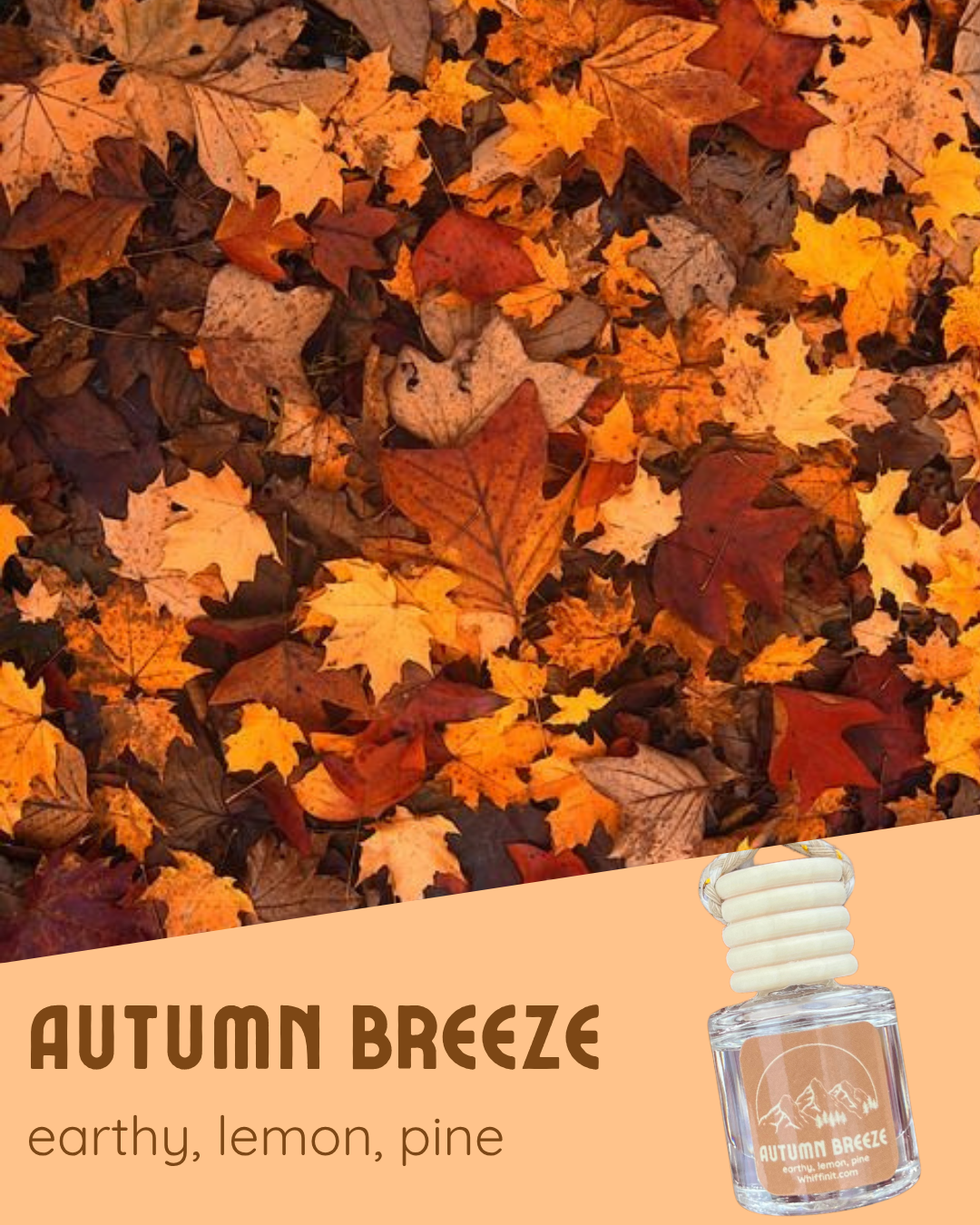 Seasonal Car Fresheners (Fall)