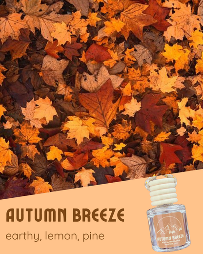 Seasonal Car Fresheners (Fall)
