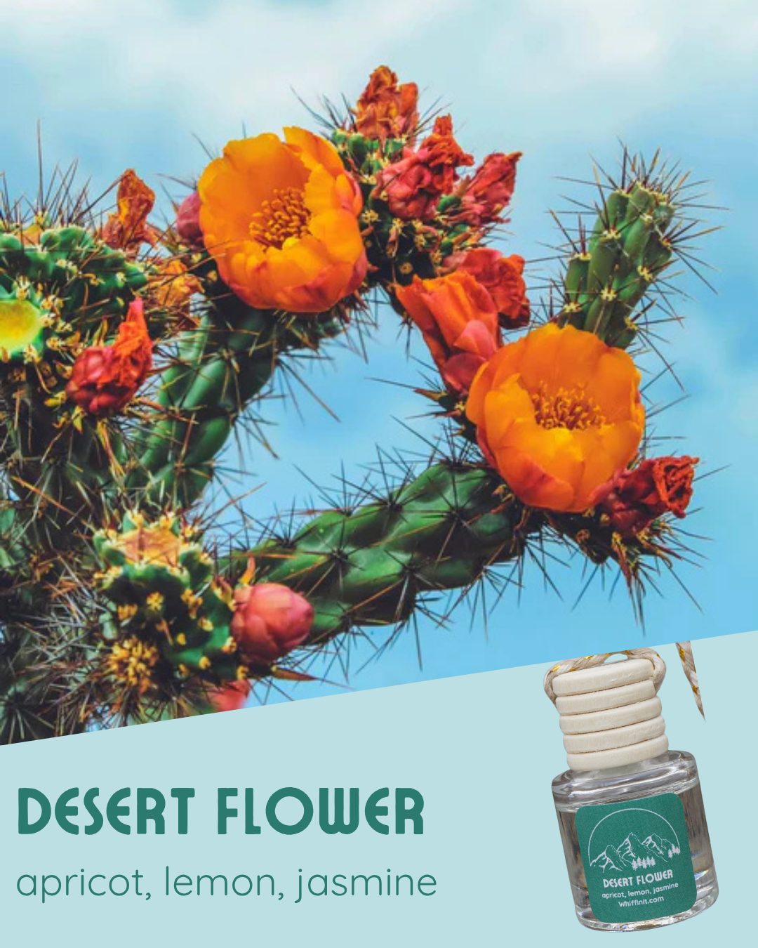 Seasonal Car Fresheners (Spring)